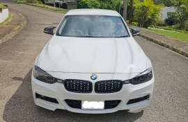 2013 BMW 316i