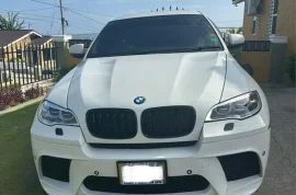 2013 BMW X6 35i